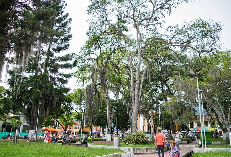 El Parque Los Fundadores se construyó en Enero de 1.907, cuando los primeros pobladores de la región decidieron crear un Centro Urbano para el desarrollo de todas las actividades...