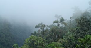 Turismo Valle del Cauca