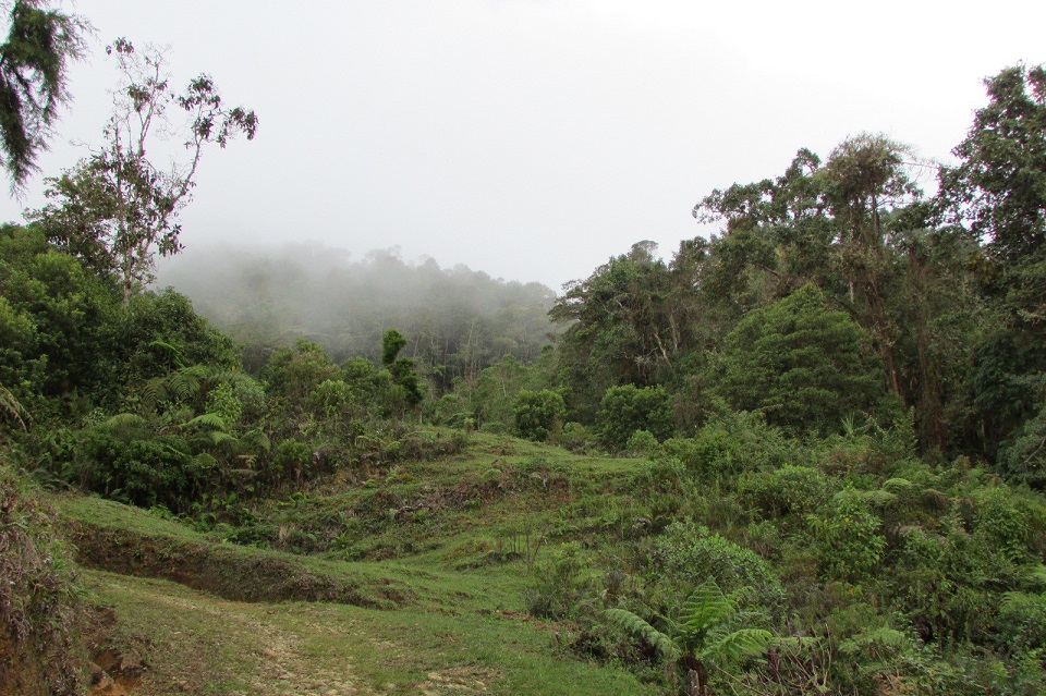Farallones de Cali - Valle del Cauca Colombia