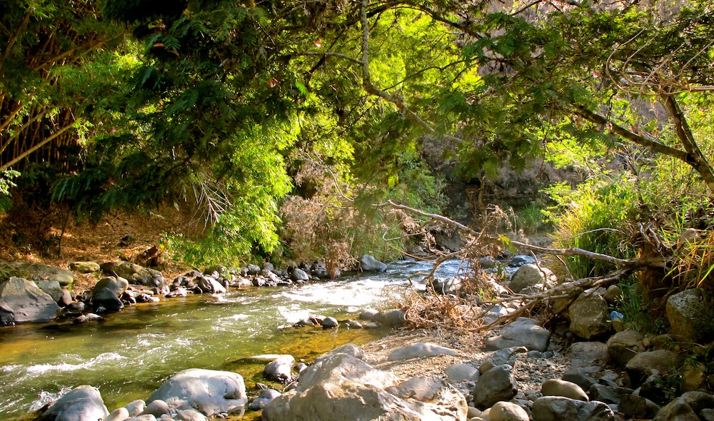 Ecoparque de Pance - Top 10 de los sitios turísticos de Cali, Colombia - Turismo Rural de Cali