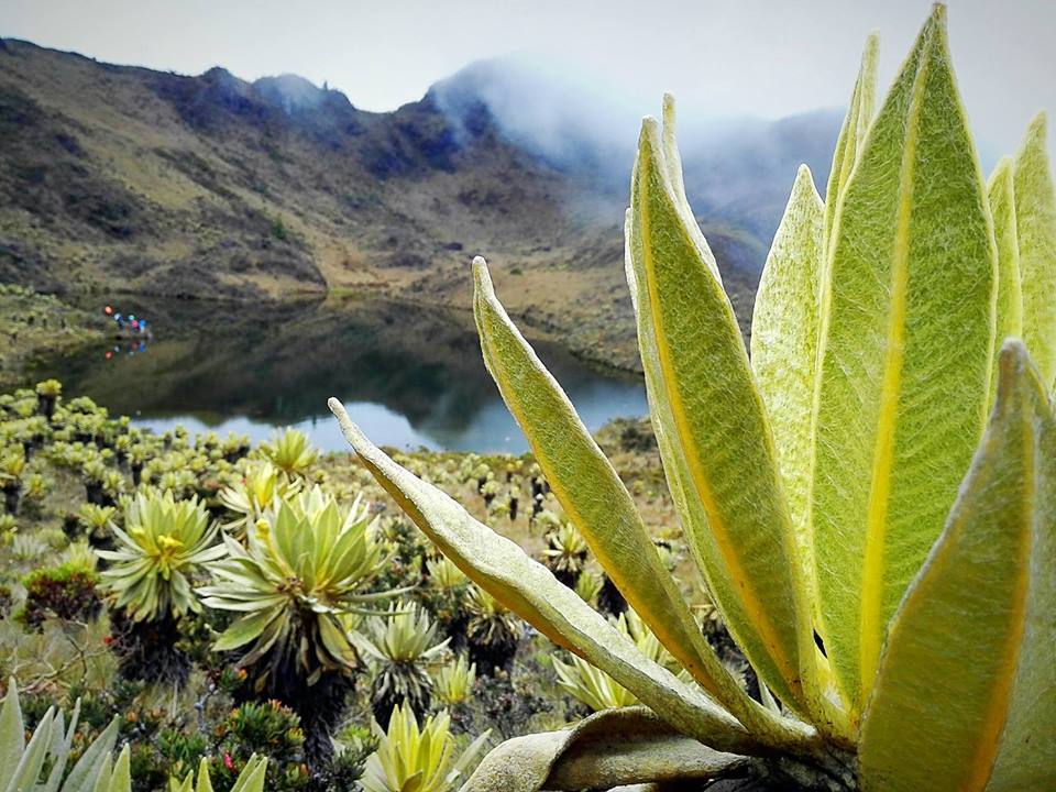 Trekking - Laguna Negra Tenerife Valle del Cauca - Turismo en Colombia