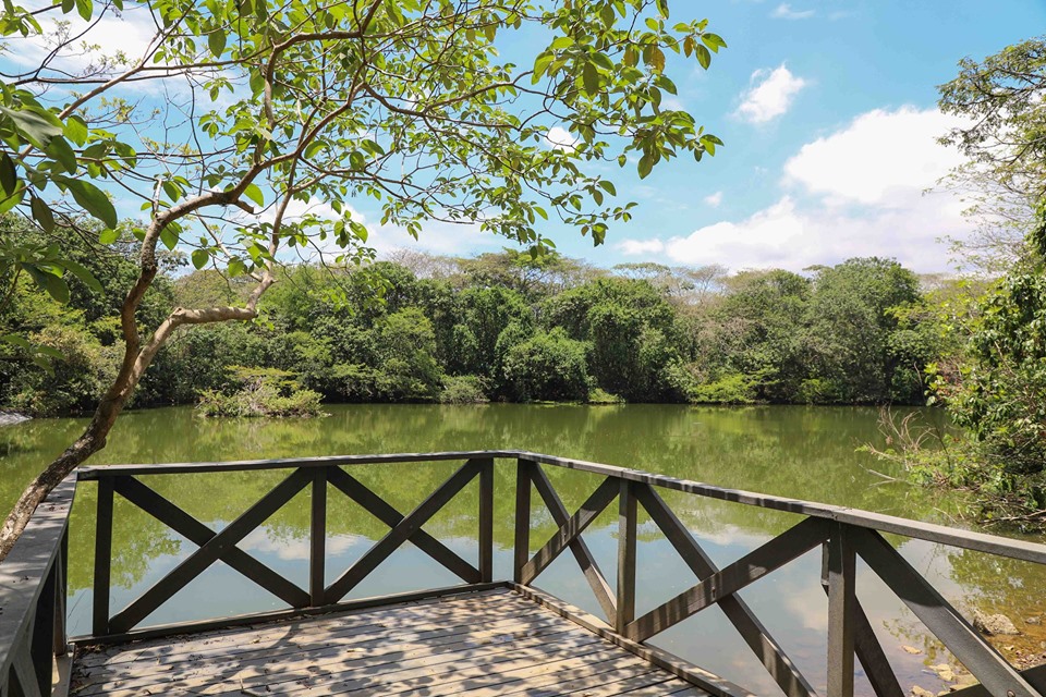 Ecoparque lago de las Garzas - Humedales de Cali, Colombia