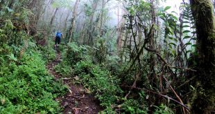 Rio Sabaletas y Aguaclara Buenaventura – Valle del Cauca Colombia