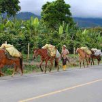 Calima, un destino naturalmente mágico