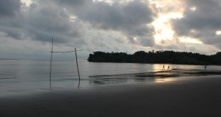 30 minutos de Buenaventura, está ubicada la paradisíaca playa de Piangüita