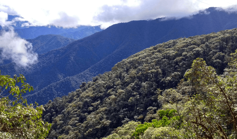 Serranía de los Paraguas:
entre los Andes Tropicales y el Chocó biogeográfico