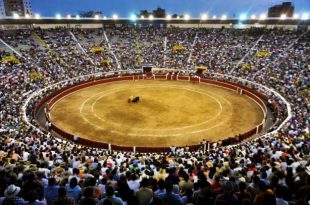 Plaza de toros Cañaveralejo