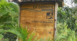 Senderos y ecoturismo en la Leonera - Cali